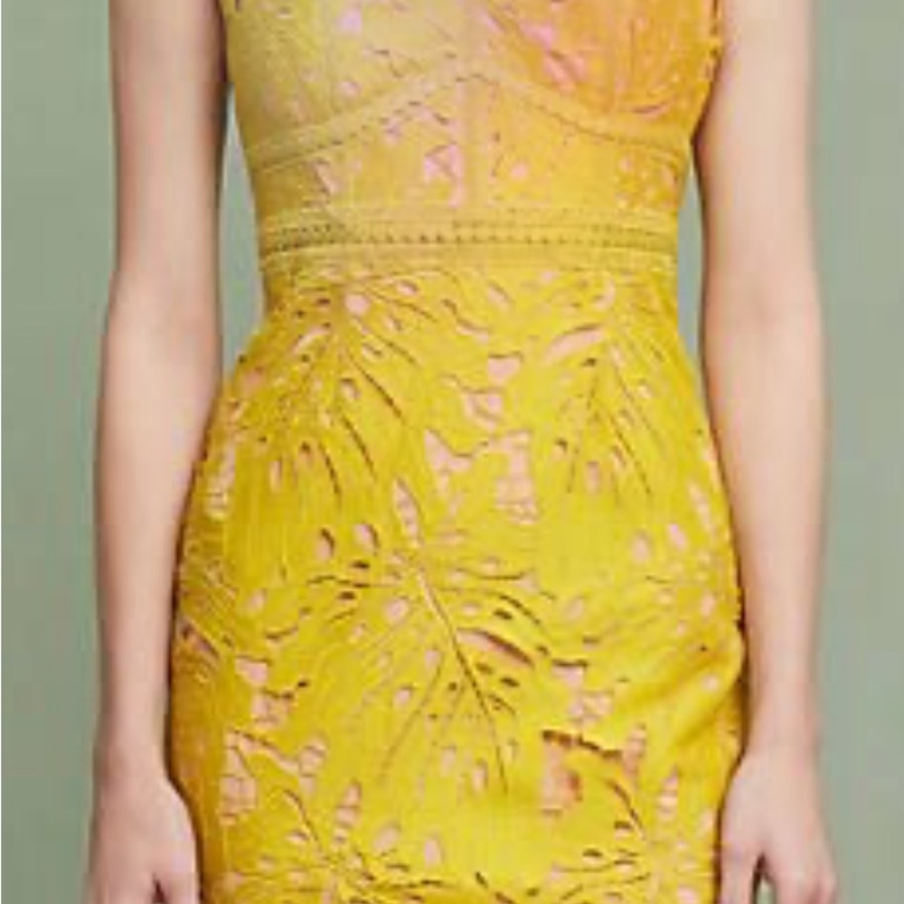 Anthropologie Maeve Crochet  Lace Gardenia Dress, Gorgeous!
